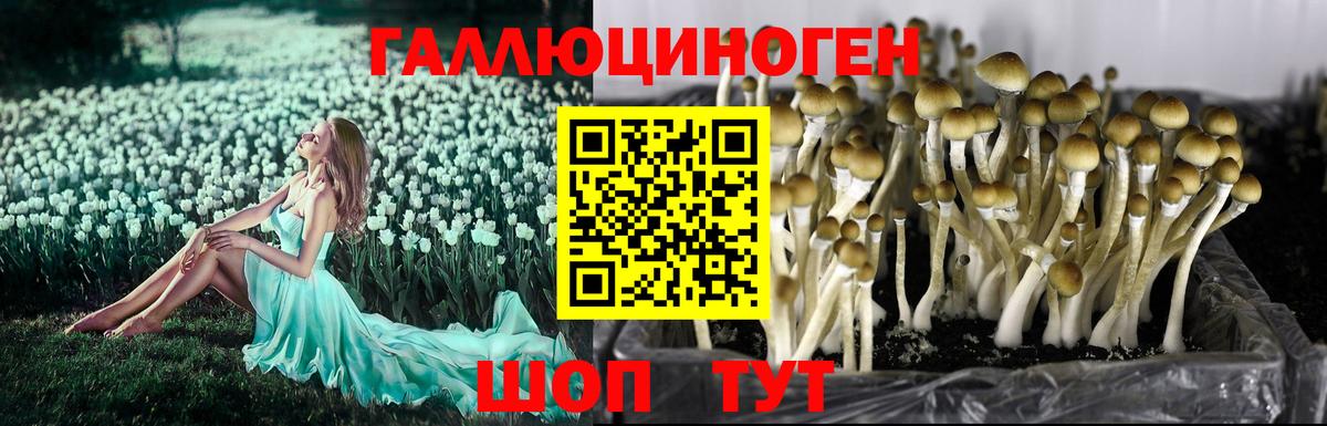 Псилоцибиновые грибы Magic Shrooms  Вход с VPN  Псилоцибиновые грибы ЛСД  Лыткарино 